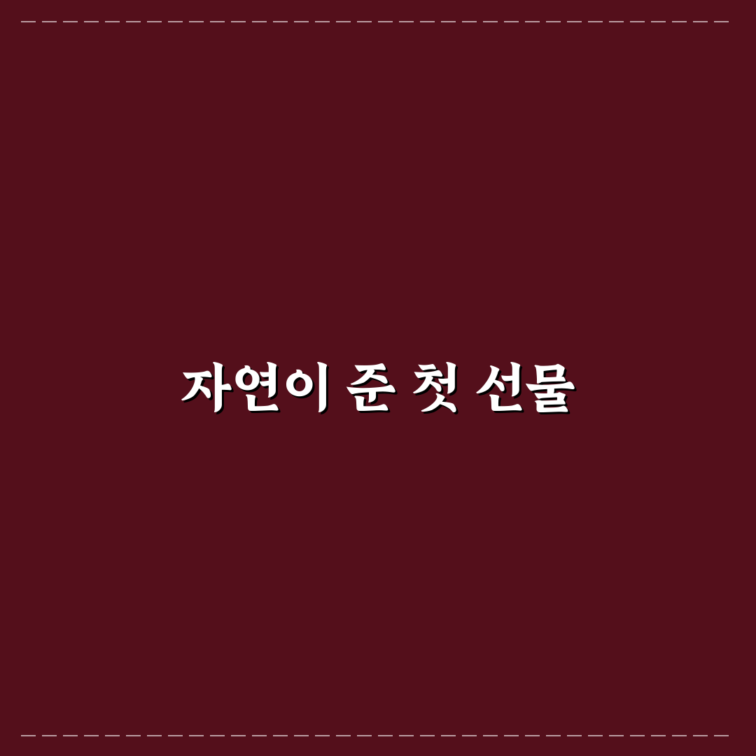 타래붓꽃 방문 후기, 직접 가보니 느낌 있는 꽃이었어요