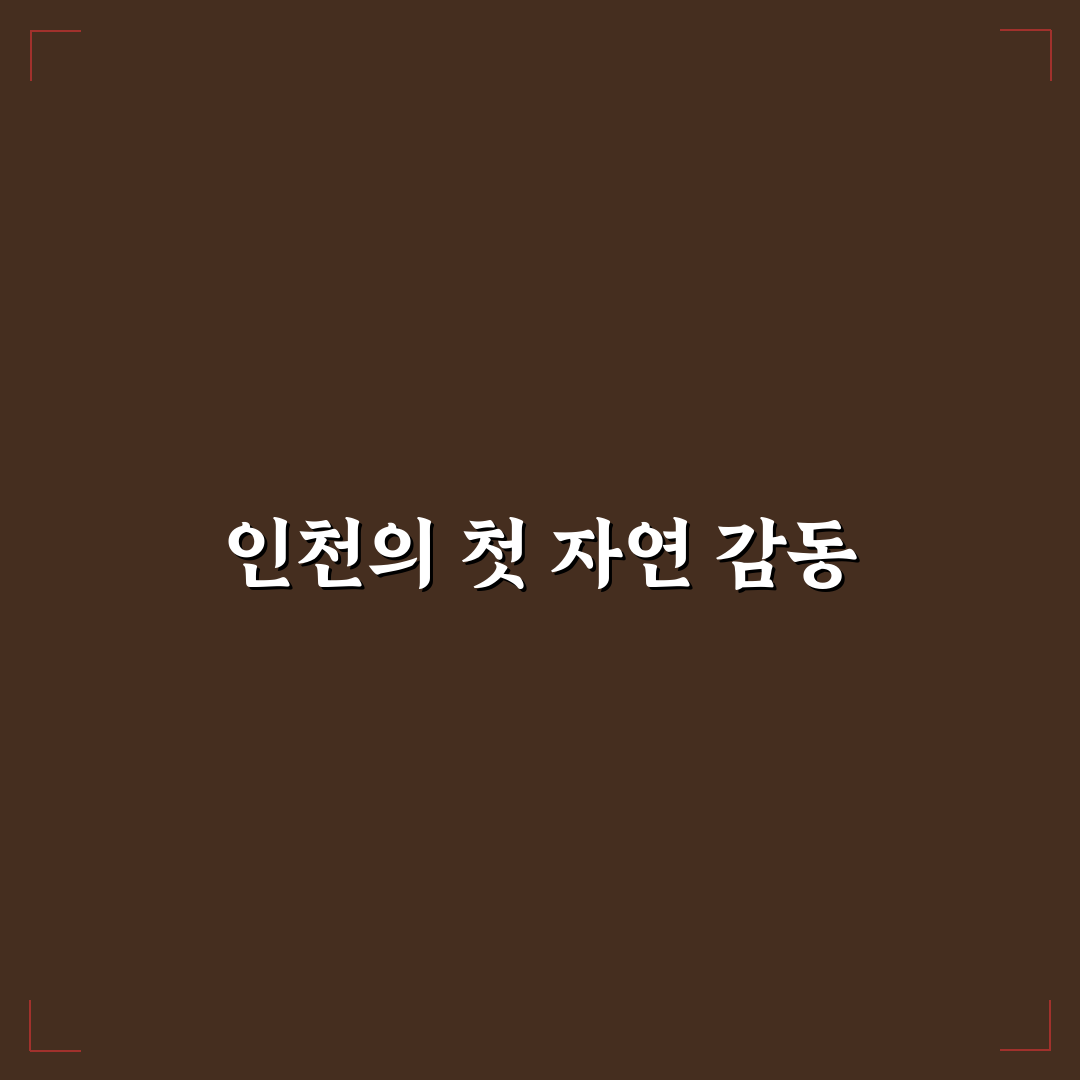 인천 이팝나무 명소 방문 후기, 직접 가보니 느낀 점