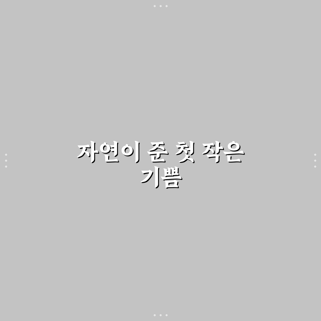 각시붓꽃 키우기 후기, 직접 기르며 느낀 점들
