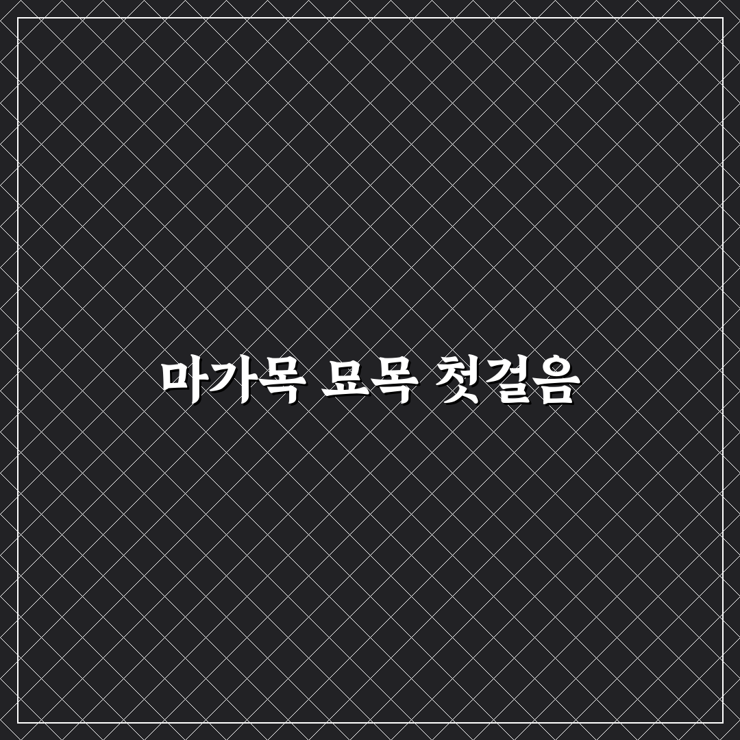 마가목 묘목 가격 직접 알아보니 예상보다 다양했어요