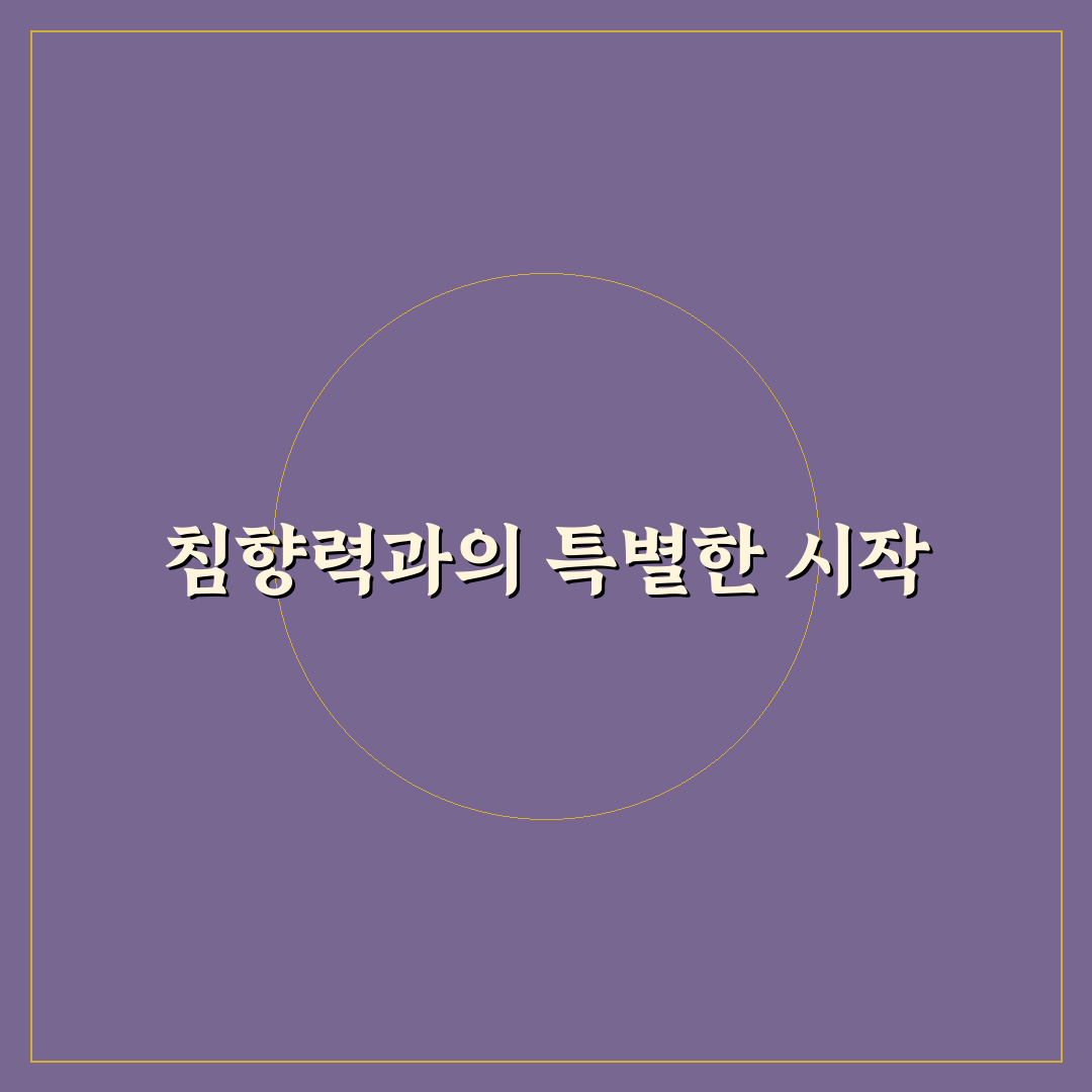 침향력 사용 후기, 직접 써보니 느낀 점과 변화