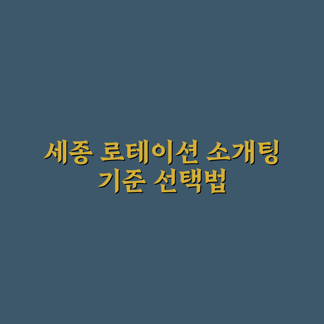 세종 로테이션 소개팅 5가지 기준별 비교 분석 가이드