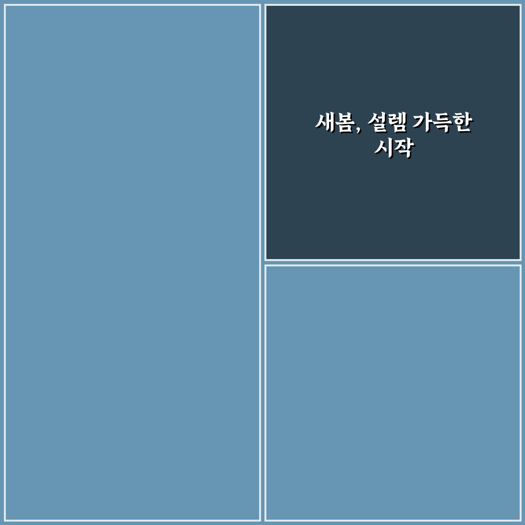 샤스타 데이지 파종 후기, 직접 해보니 알게 된 점
