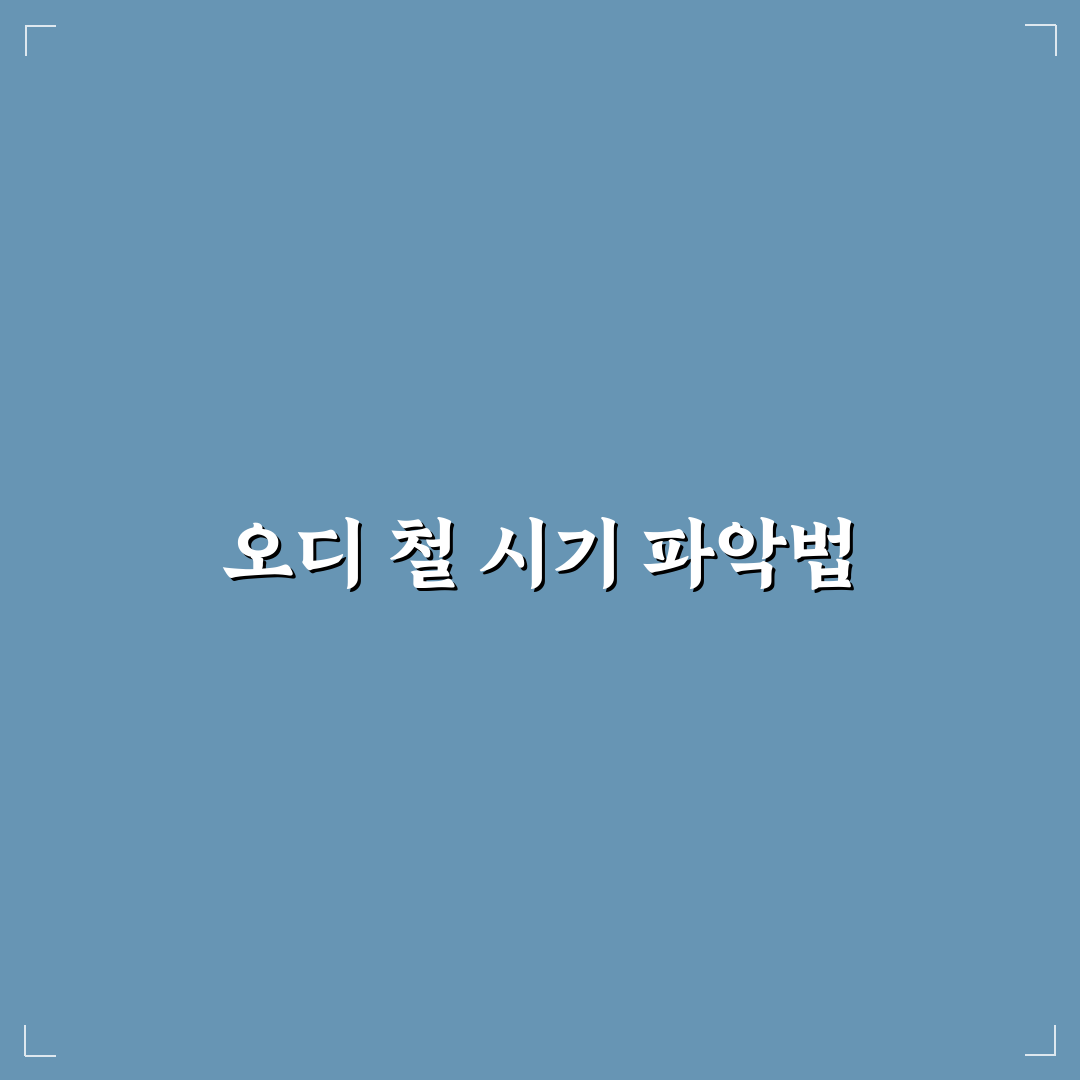 오디 철 시기와 수확 기준 5가지 비교 분석