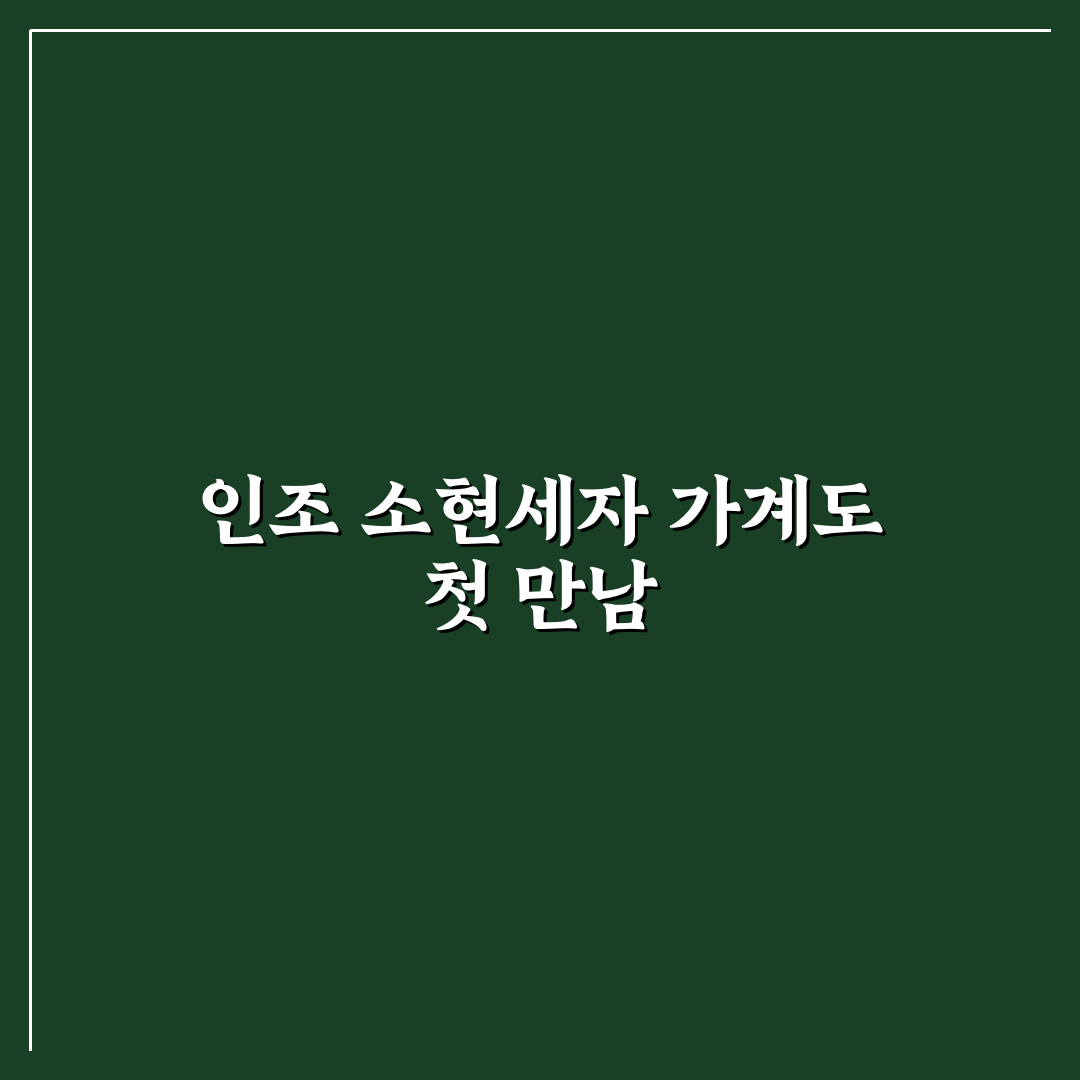 인조 소현세자 가계도 직접 알아보니 알기 쉬웠던 점