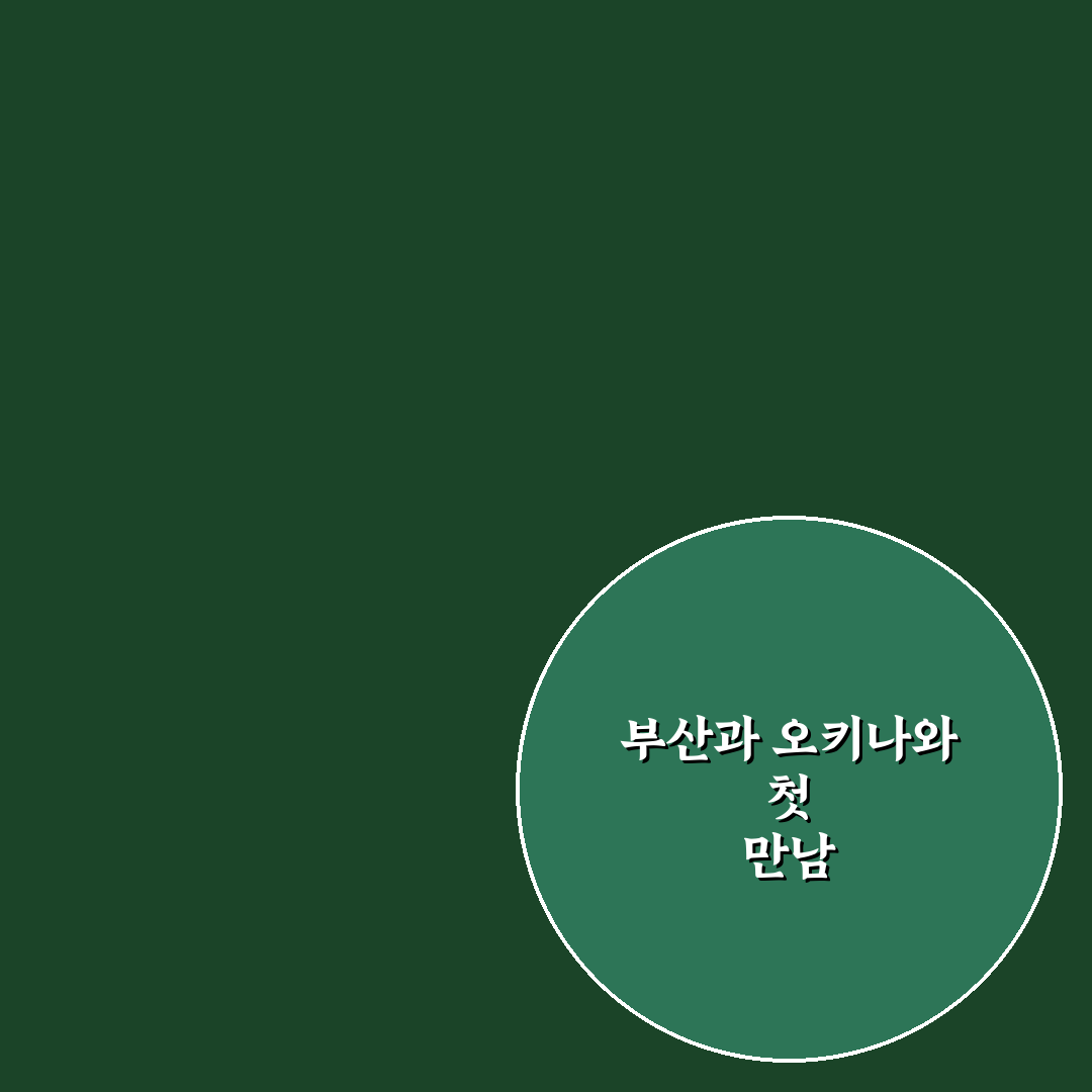 부산 오키나와 항공권 직접 이용해보니 가격과 편리함은?