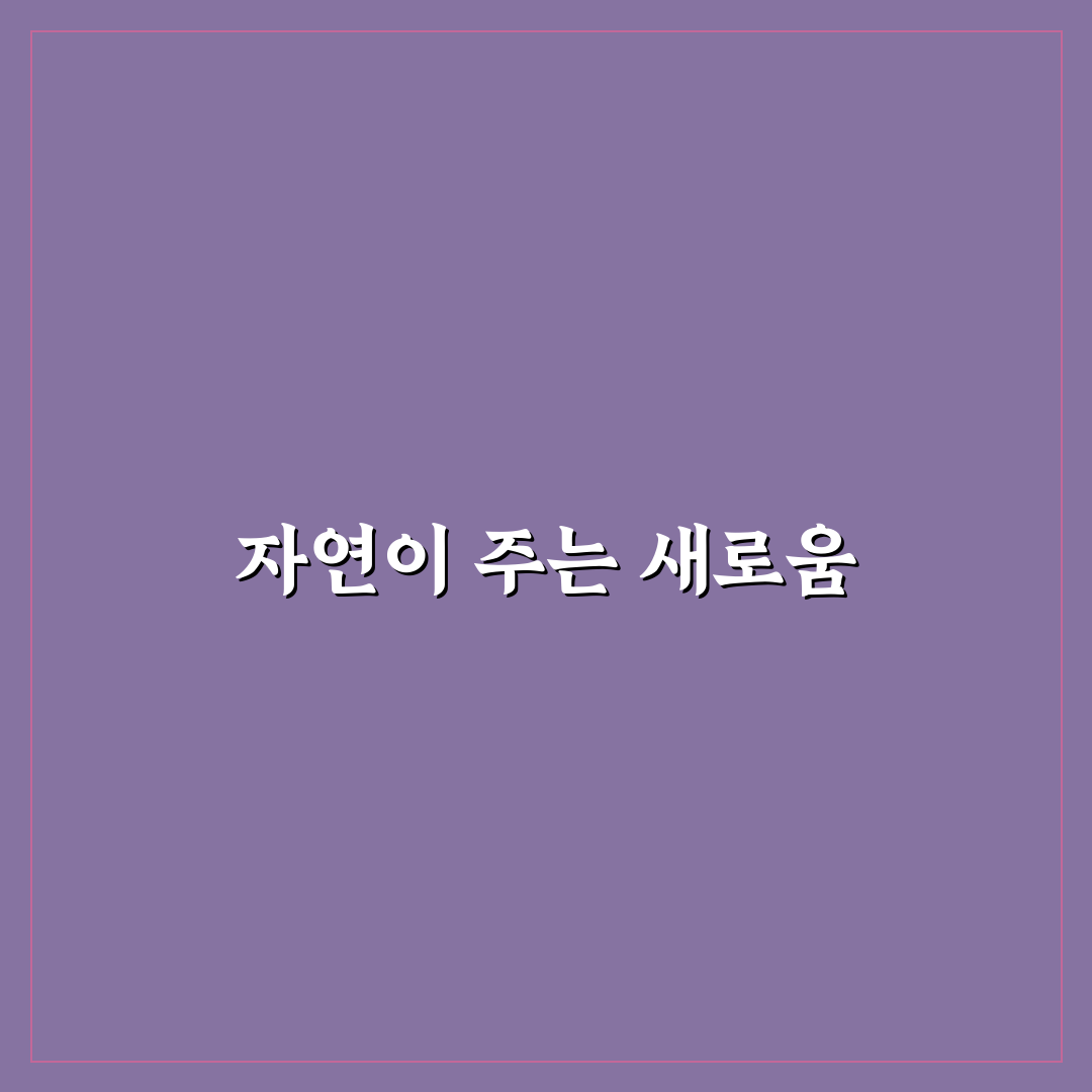 샤스타데이지 씨앗 사용 후기, 직접 심어보니