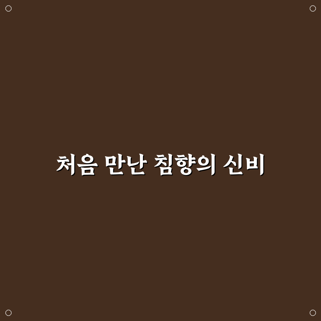 정관장 침향 가격 직접 알아보니 합리적인지 궁금했다