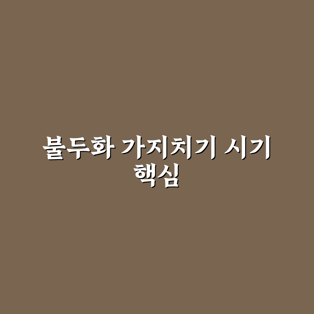 불두화 가지치기 시기별 기준과 효과 비교 분석