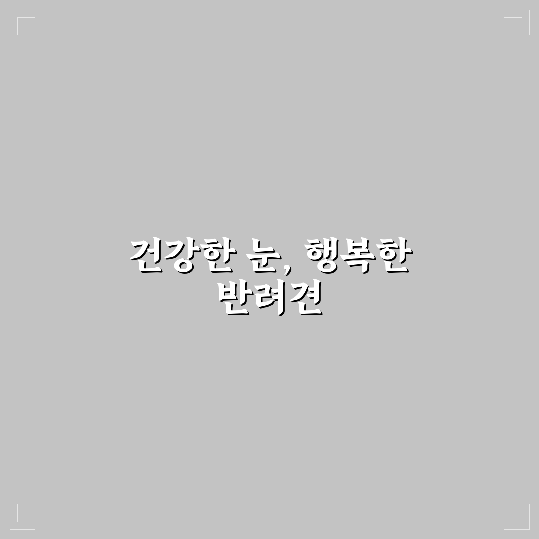 강아지 백내장 초기 증상 직접 알아보니 궁금했던 점