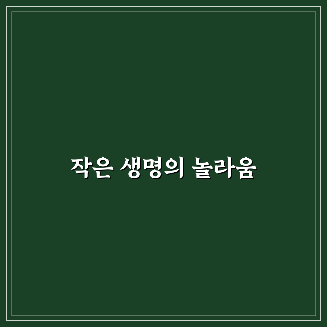 박새 부화기간 직접 알아보니 궁금증 해결되었어요