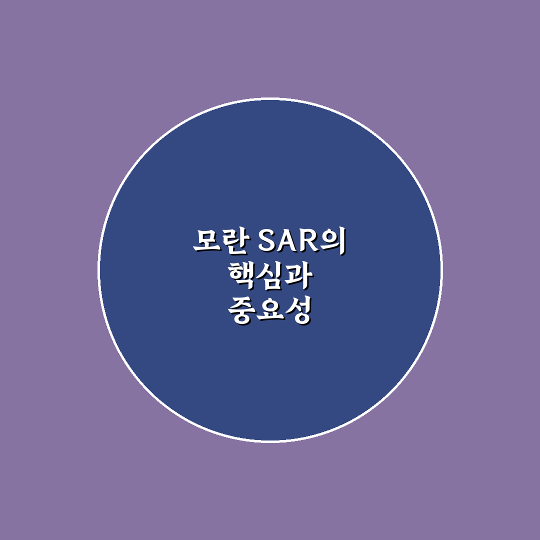 모란 sar 성능 비교와 활용 가이드 총정리