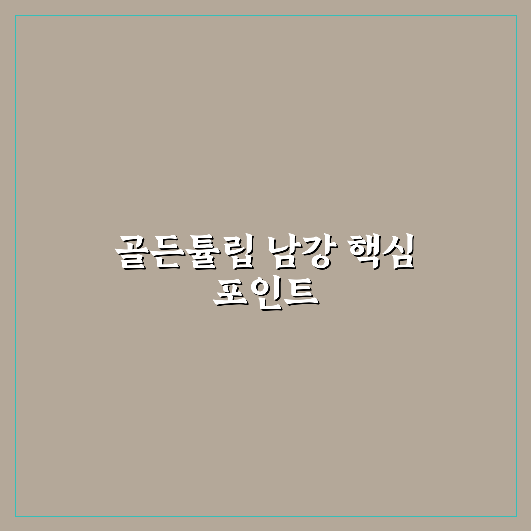 골든튤립 남강 객실과 서비스 비교 분석 가이드