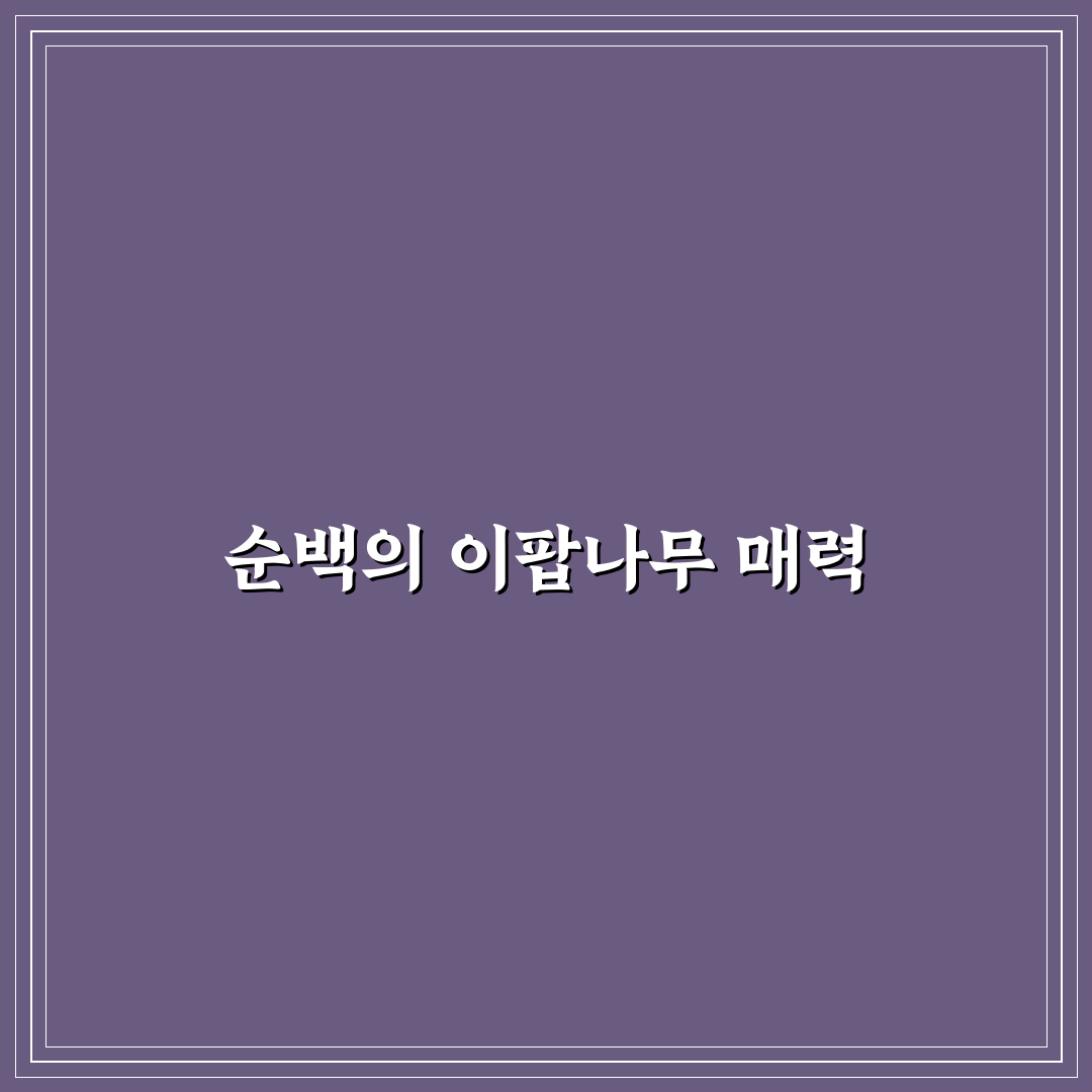 경기도 이팝나무 명소 방문 후기, 봄철 풍경 직접 느껴보니