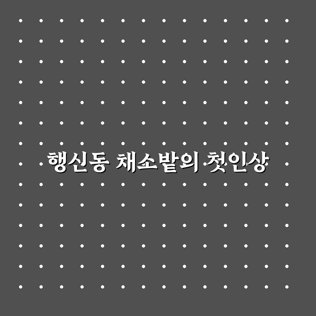 행신동 채소밭 방문 후기, 직접 가보니 신선한 느낌이었어요