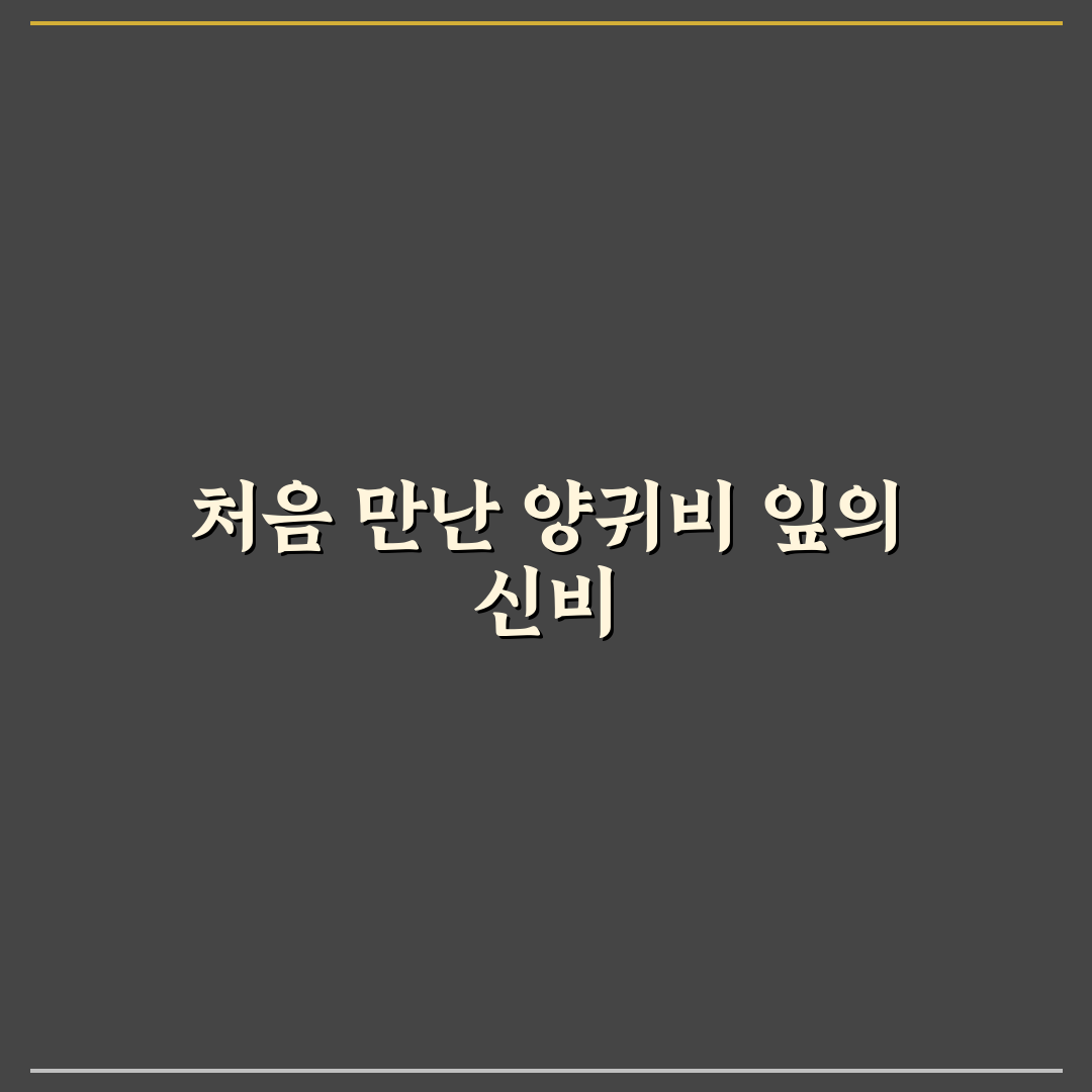 양귀비 잎 먹어도 되나요 직접 알아보니 궁금증 해소