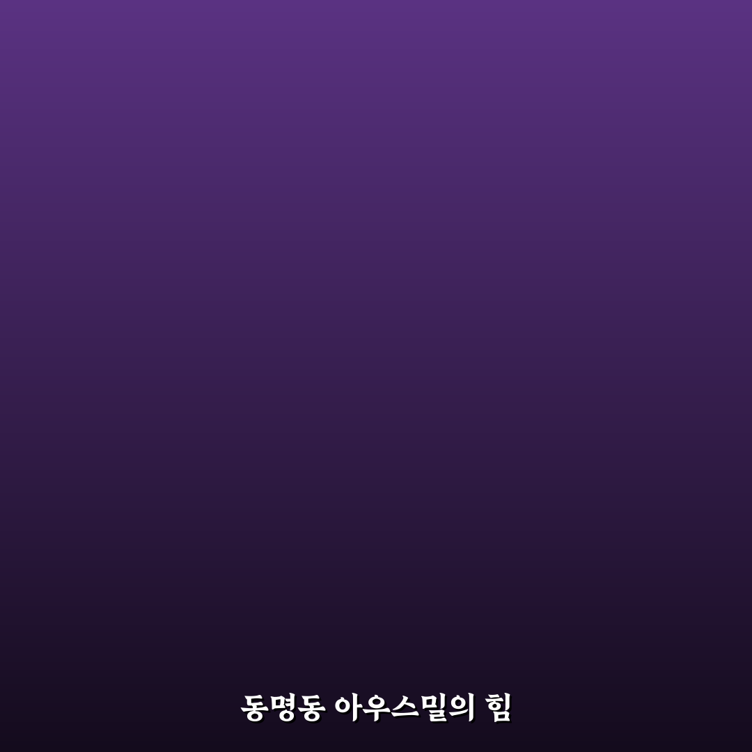 동명동 아우스밀 비교와 가격·품질 분석 가이드