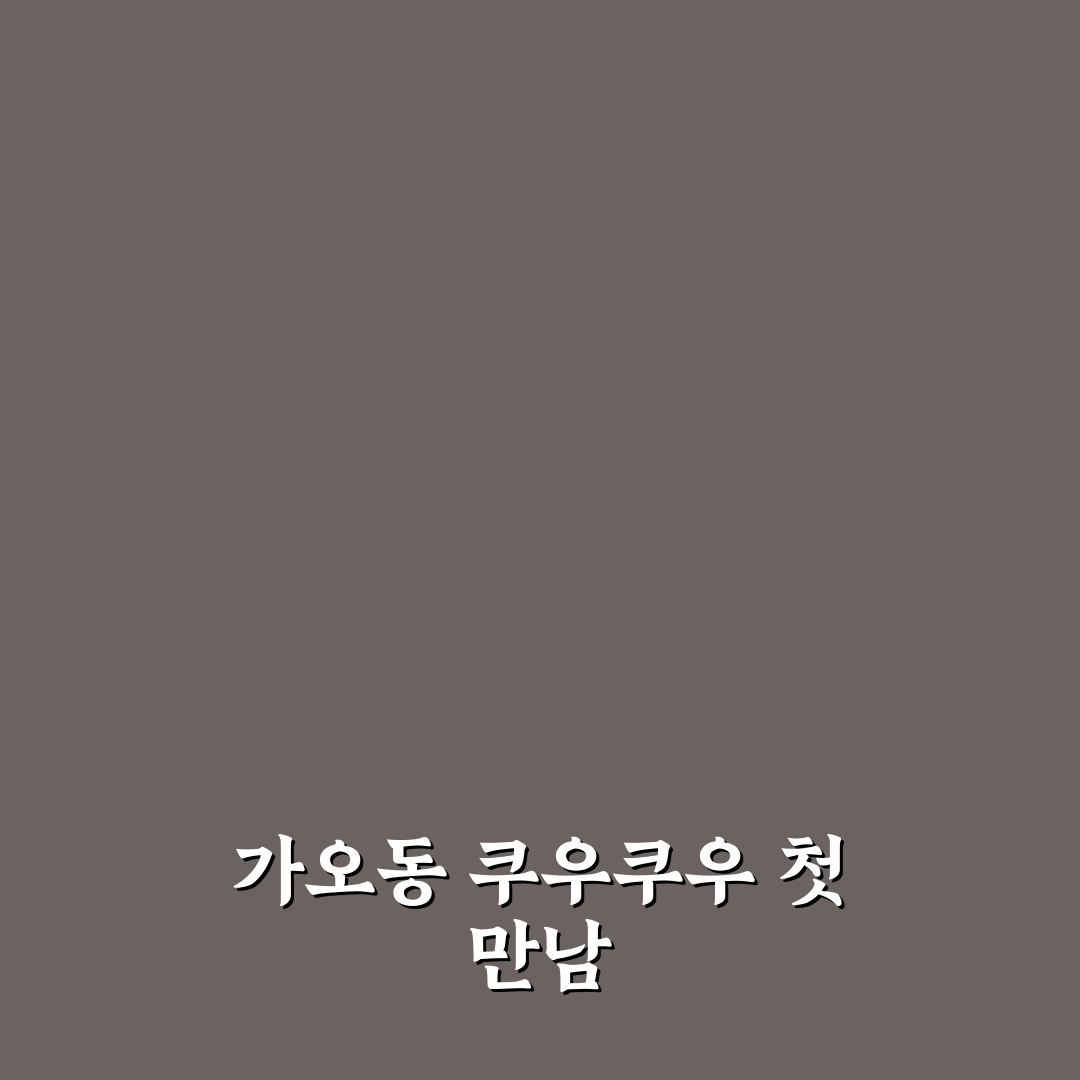 가오동 쿠우쿠우 가격 직접 가보니 괜찮은 점과 아쉬운 점