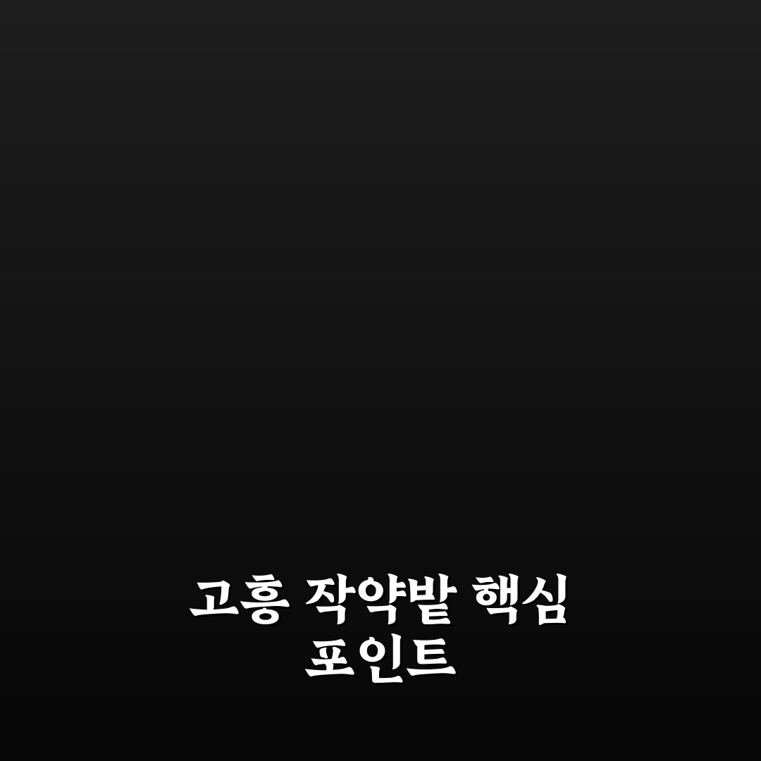 고흥 작약밭 방문 전 꼭 알아야 할 5가지 체크포인트