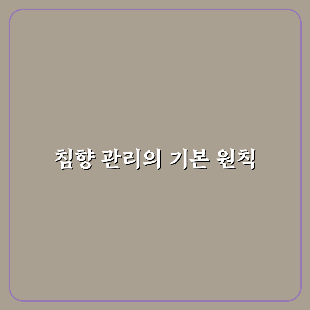 침향 보관법 5가지 기준 비교와 실전 가이드