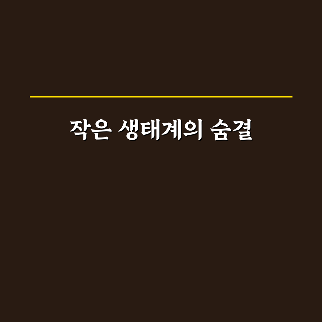 개미 사육장 사용 후기, 직접 키워보니 느낀 점
