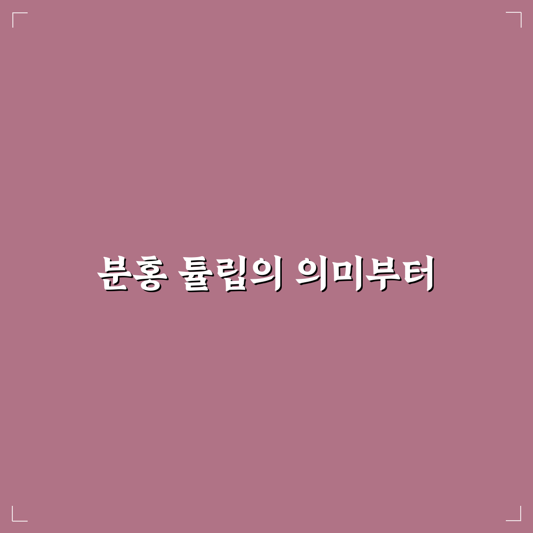 분홍 튤립 꽃말 의미와 종류별 차이 분석 가이드