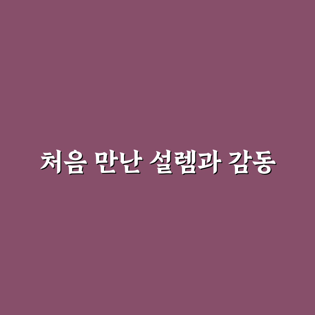 라포네일 사용 후기, 실제 시술 받아보니 느낌은