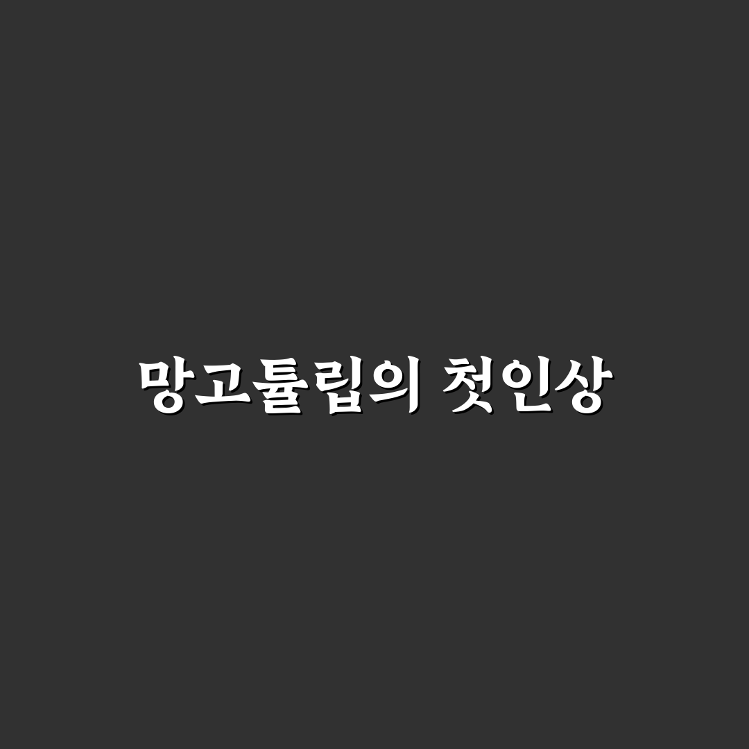 망고튤립 꽃말 직접 알아보니 뜻이 궁금했던 이유