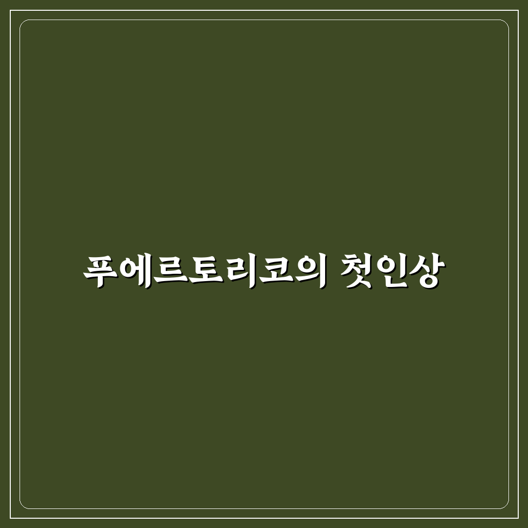 푸에르토리코 국기 직접 알아보니 의미가 궁금했다