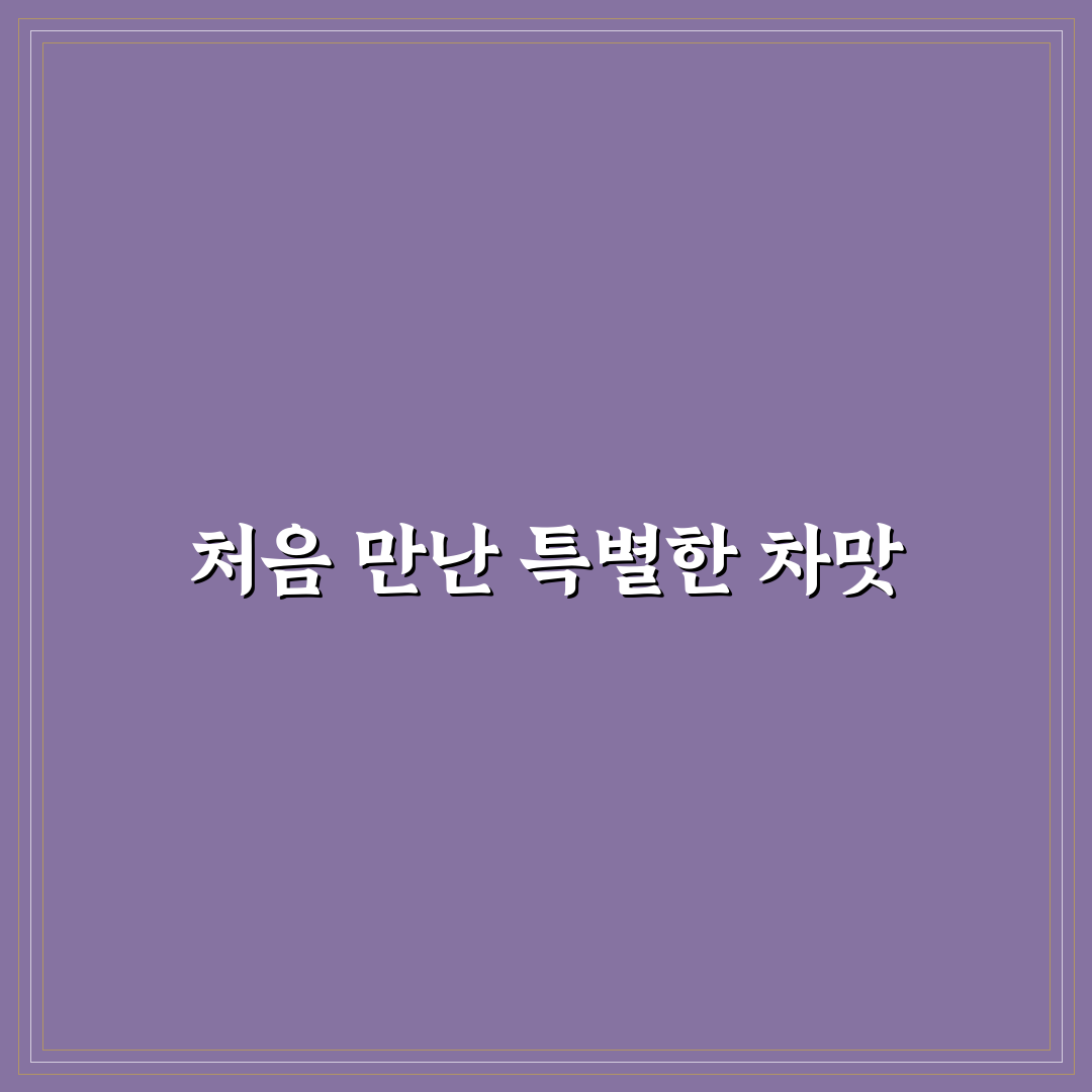 침향차 가격 직접 알아보니 생각보다 다양하더군요