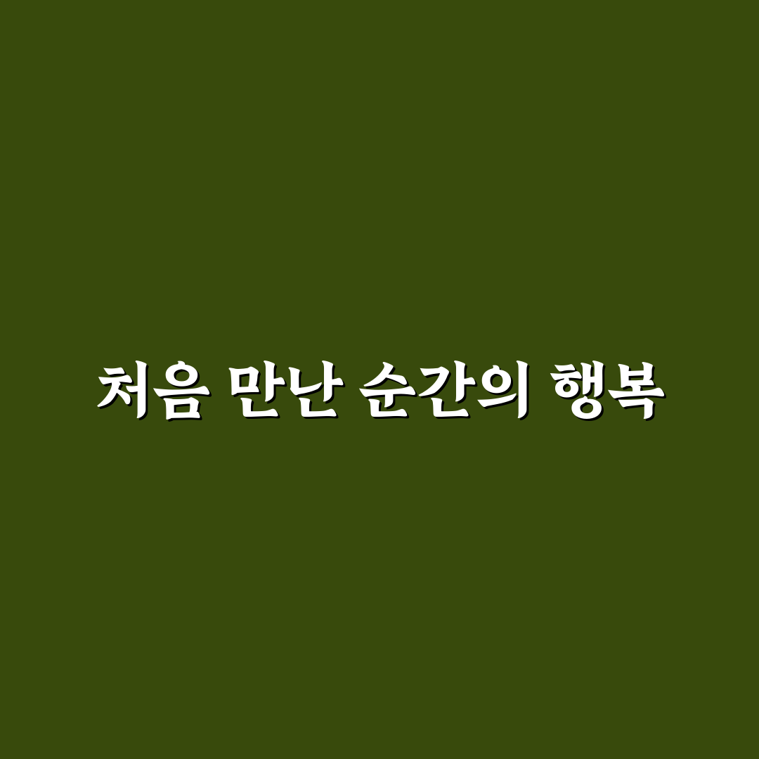 터미타임 장난감 문어 사용 후기, 아이 반응은 어땠나