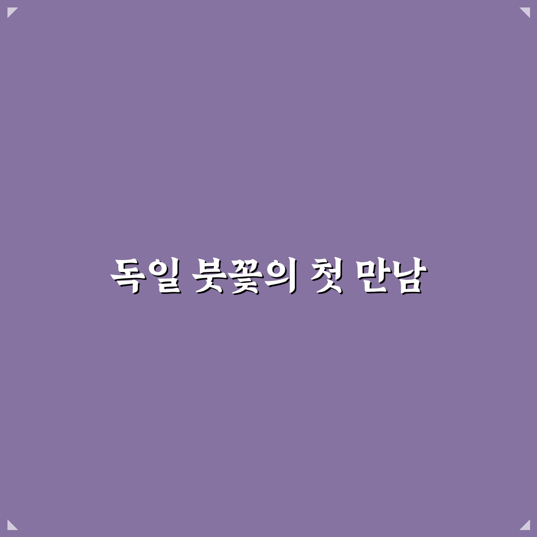 독일 붓꽃 꽃말 직접 알아보니 뜻이 신기했어요