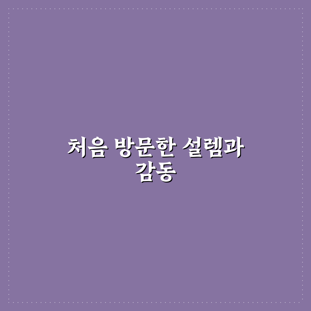 양재역 사진관 방문 후기, 실제 촬영 경험담