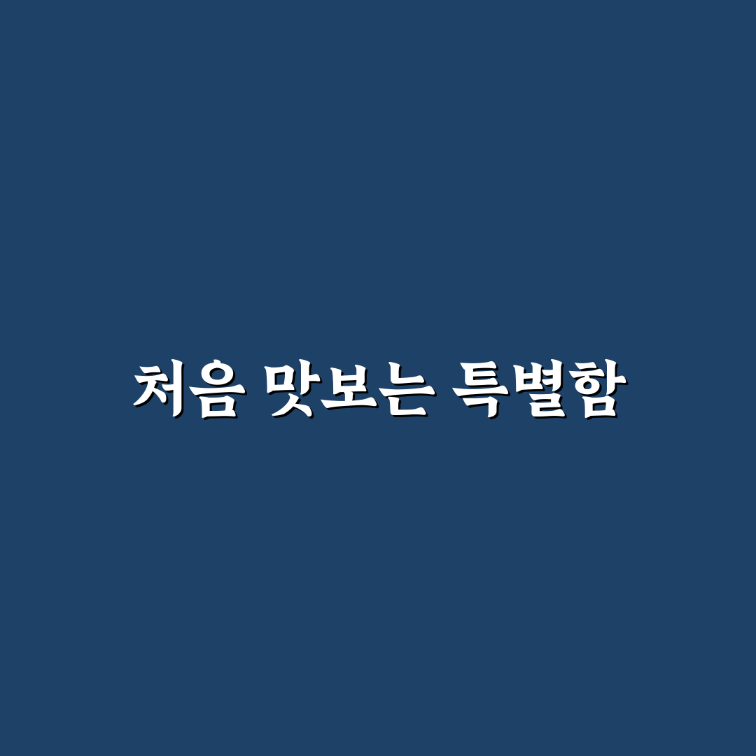 강릉 포모도로 메뉴 방문 후기, 직접 가보니 분위기와 맛은?