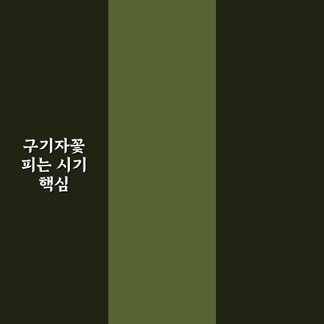 구기자꽃피는시기 기준과 성장 환경 분석 총정리