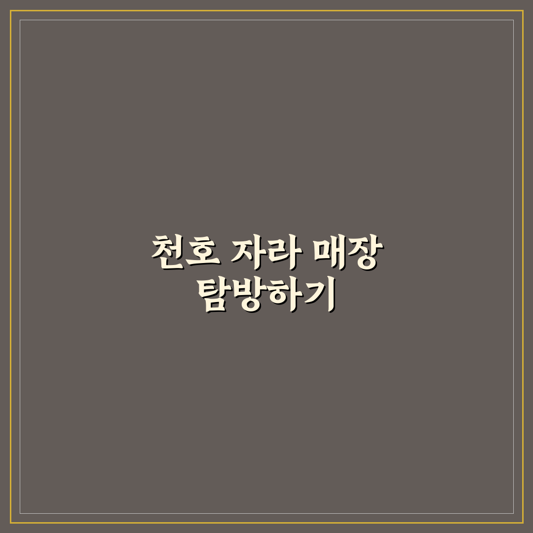 천호 현대백화점 자라 매장 5가지 비교 분석 가이드