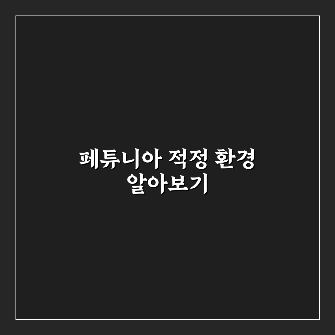 페튜니아 키우기 5가지 기준과 관리법 총정리