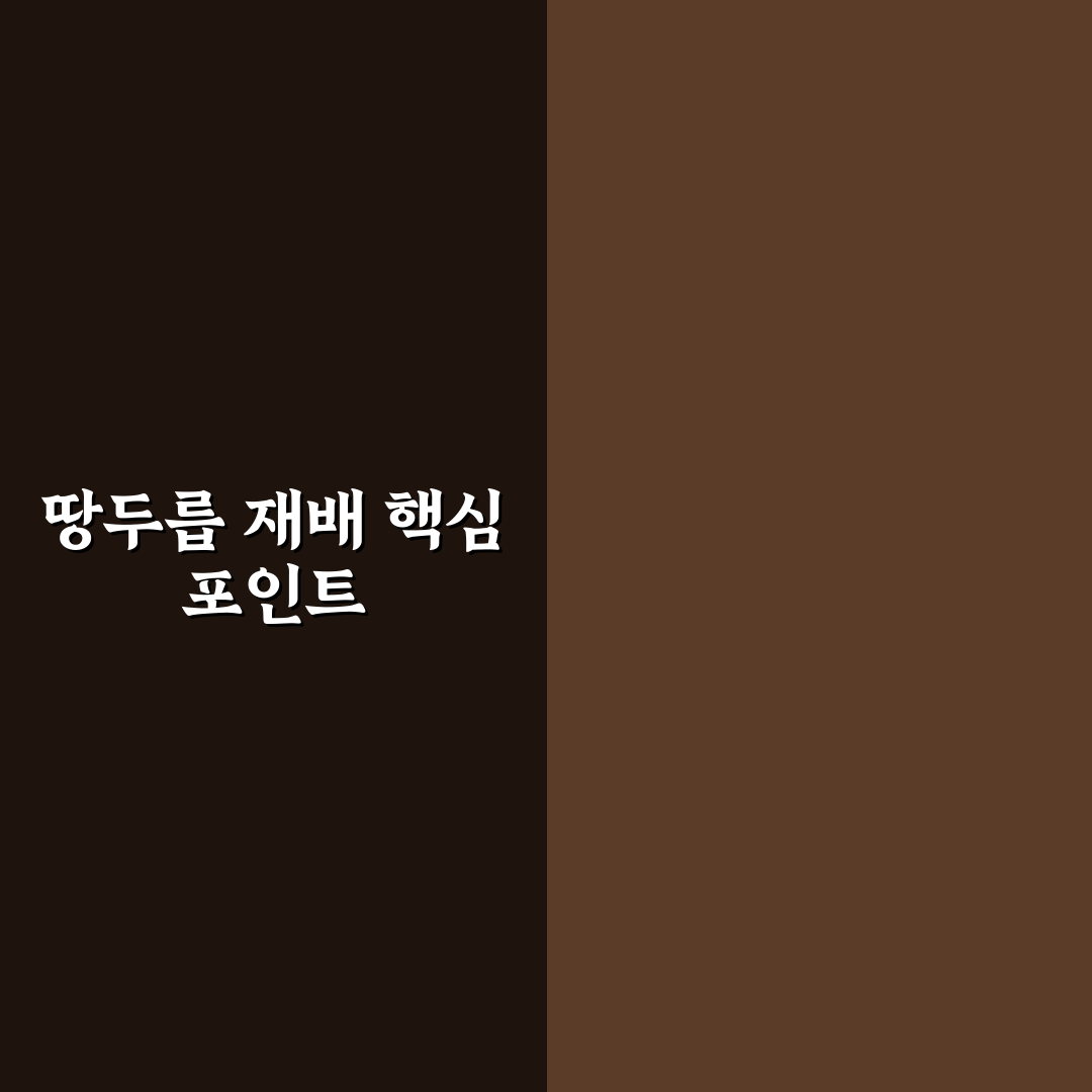 땅두릅 모종재배방법 5가지 체크포인트와 비교 분석