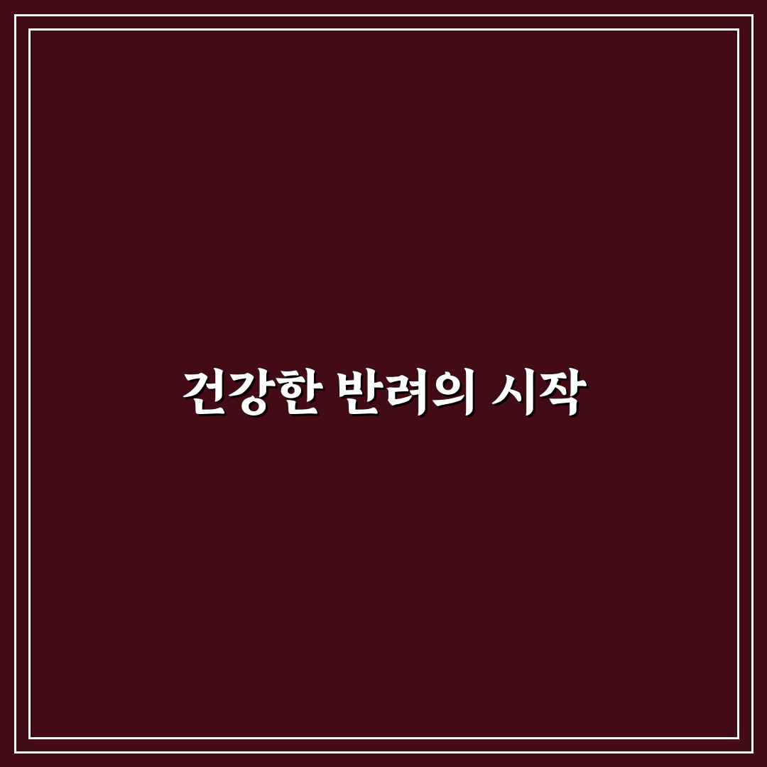 노르딕 오메가3 펫 비교와 선택 기준 5가지 분석