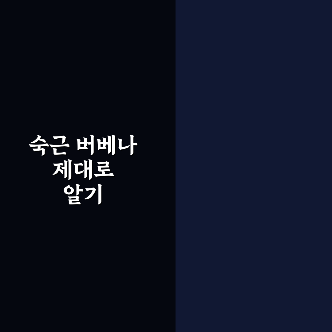 숙근 버베나 모종 선택을 위한 5가지 비교 기준과 가이드