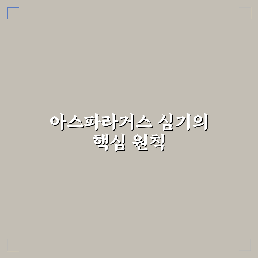 아스파라거스 모종 심기 가이드와 주요 체크포인트 분석