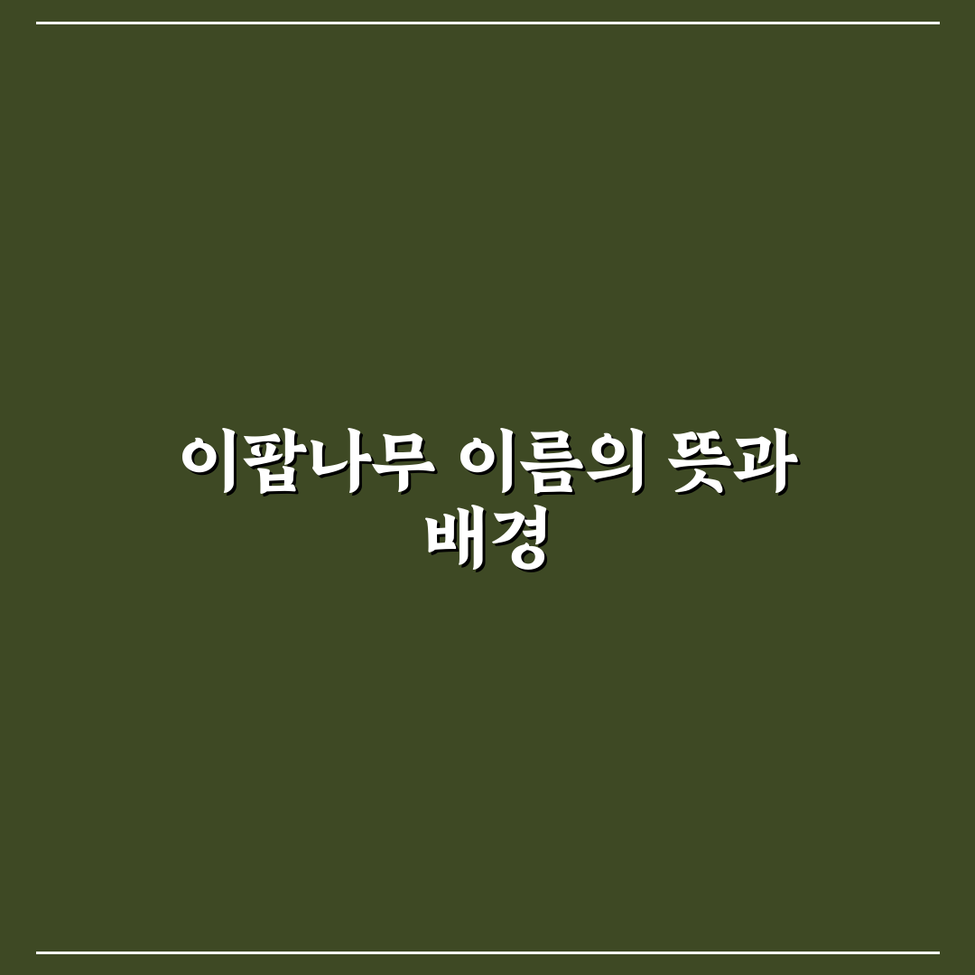 이팝나무 이름 유래와 특징 비교 분석 가이드