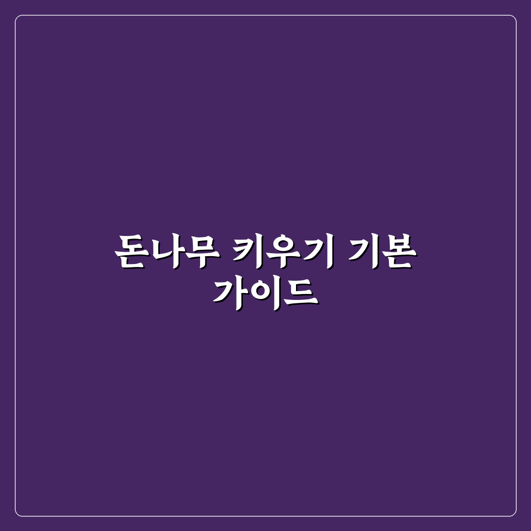 돈나무 키우기 가이드와 올바른 물 주기 체크포인트 분석