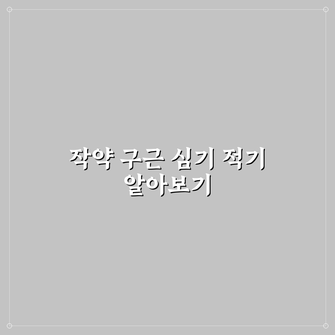 작약 구근 심는 시기별 조건과 가이드 총정리