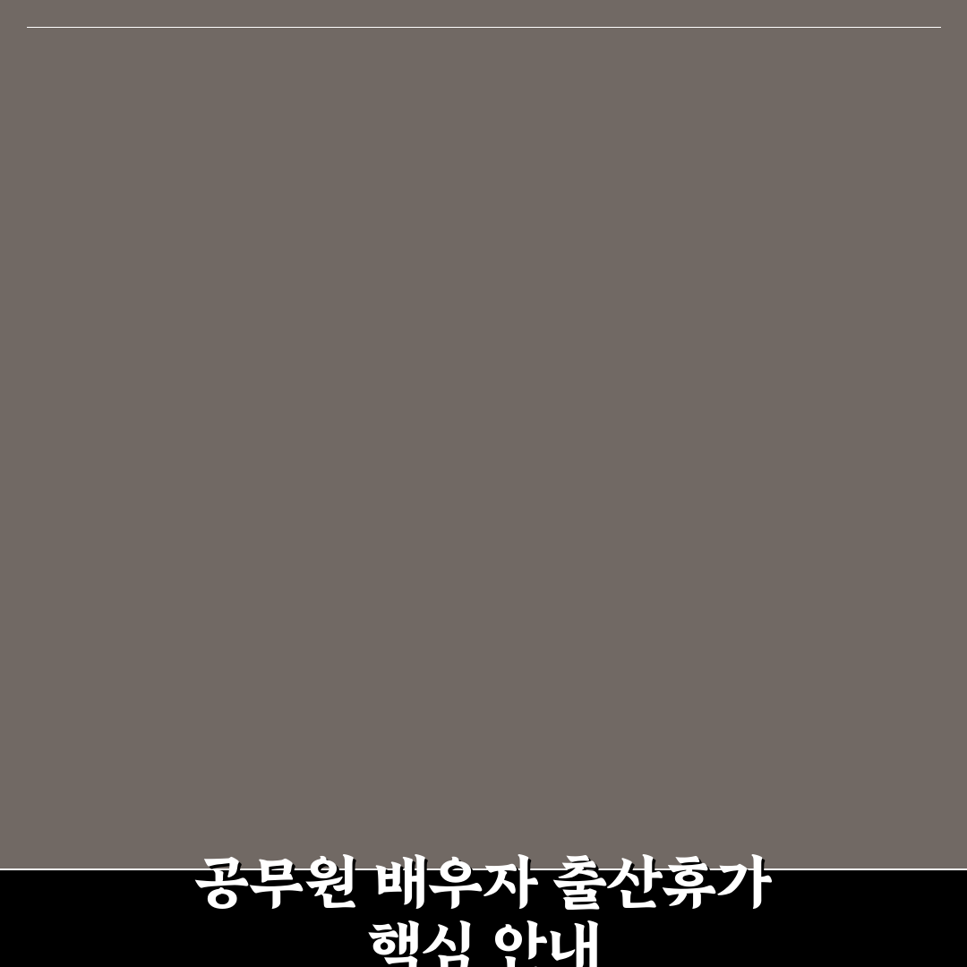 공무원 배우자 출산휴가 비교와 기준 총정리 5가지