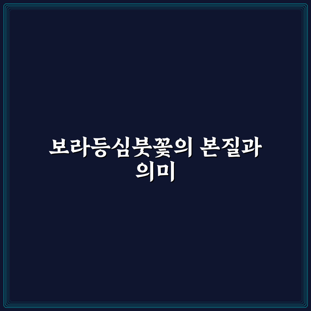 보라등심붓꽃 꽃잎 구조와 색상 차이 비교 가이드