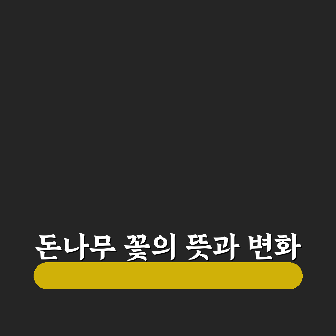 돈나무 꽃 피면 시기와 관리법 비교 분석 가이드