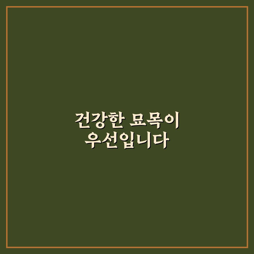 아스파라거스 묘목 선택 가이드와 성장 조건 비교 분석