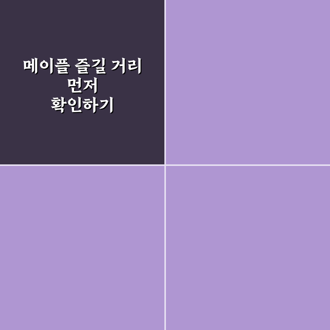 어린이대공원 메이플 이용 정보 5가지 기준 비교 분석