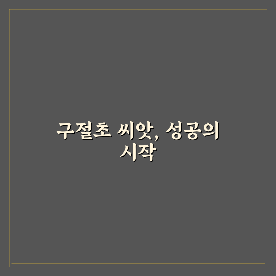 구절초 씨앗 파종 가이드와 성공을 위한 5가지 체크포인트